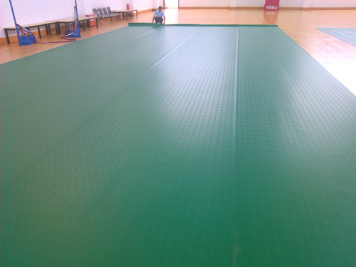 ���z��ë���(ch��ng)